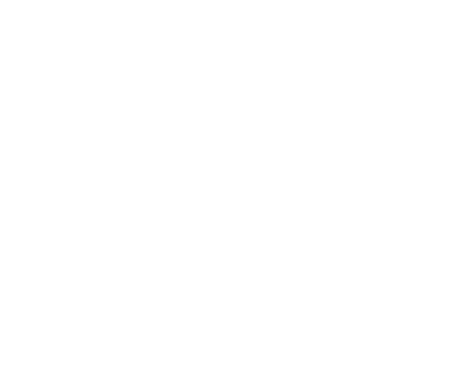 Eaglesidea Ltd - Logo Symbol - Eagle!